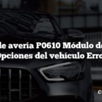 Código de avería P0610 Módulo de control Opciones del vehículo Error